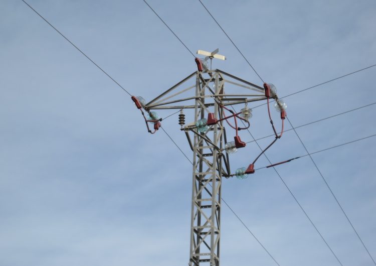 S’instal•len proteccions per a l’avifauna a cinc línies elèctriques de mitjana tensió de la Noguera