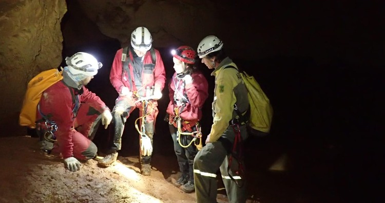 La Generalitat impulsa el seguiment hivernal de ratpenats en espais naturals com el Massís del Montsec