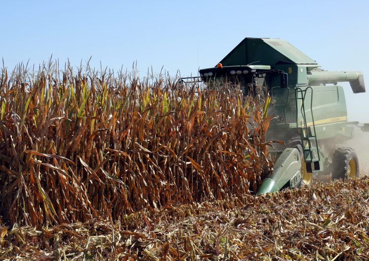 El Parlament debat la proposició de Llei d’espais agraris, una eina llargament reclamada pel sector