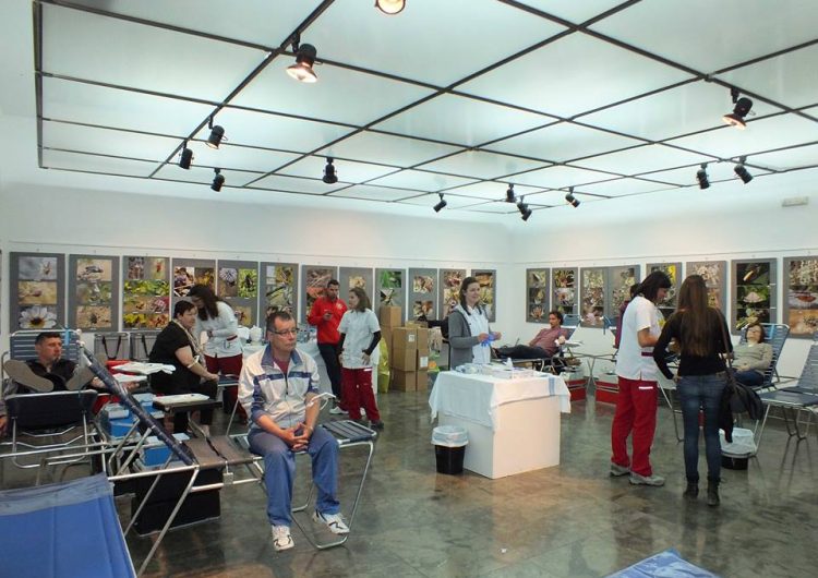 Balaguer celebra aquest dissabte la Marató de Donació de Sang