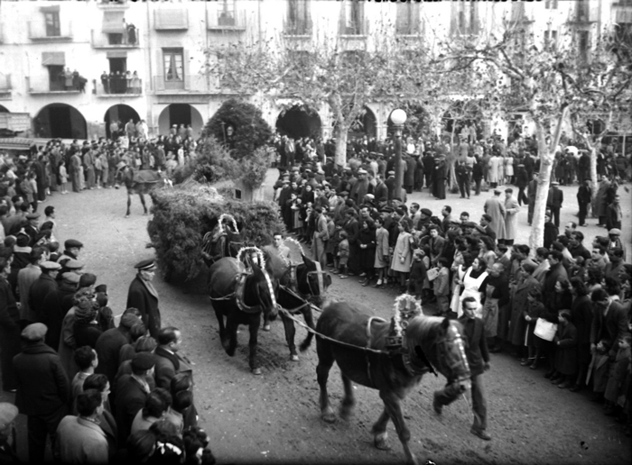Balaguer celebra aquest cap de setmana la festivitat de Sant Antoni