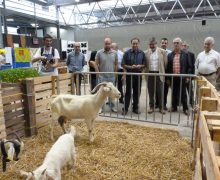 ’inaugura la V Fira d’Alimentació i Salut, organitzada per l’associació Slow Food Terres de Lleida