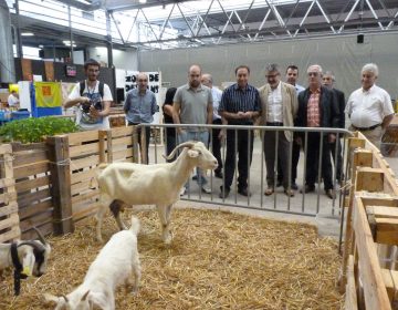 ’inaugura la V Fira d’Alimentació i Salut, organitzada per l’associació Slow Food Terres de Lleida