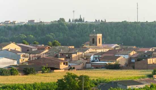 L’associació de dones “Les Àguedes” de Torrelameu organitza la primera trobada gegantera contra la violència masclista