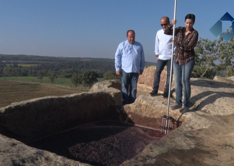 Costers de Sió inicia la vinificació natural de 4.000 quilos de raïm als trulls de pedra del s.XI