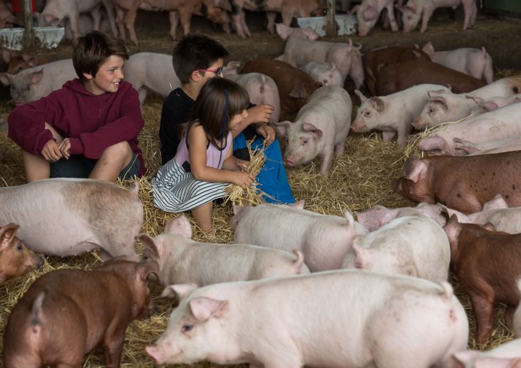 La Noguera tornarà a participar a la tercera edició de “Benvinguts a Pagès” que se celebrarà el cap de setmana del 9 i 10 de juny