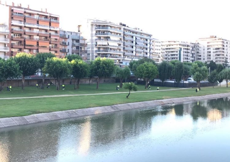 La brigada municipal neteja de bon matí les restes de la Transsegre