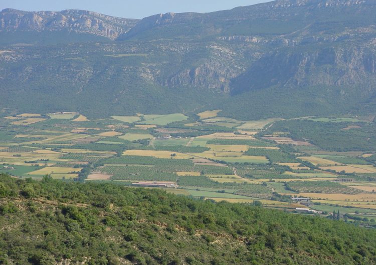 Els paisatges agrícoles amb parcel·les petites i variades fomenten la biodiversitat