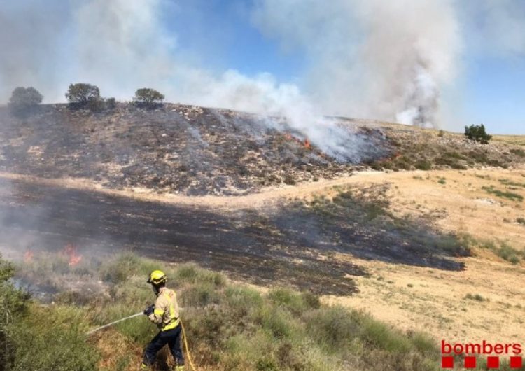 Un incendi crema 16,9 hectàrees a l’Espai d’Interès Natural Serra Llarga de Castelló de Farfanya