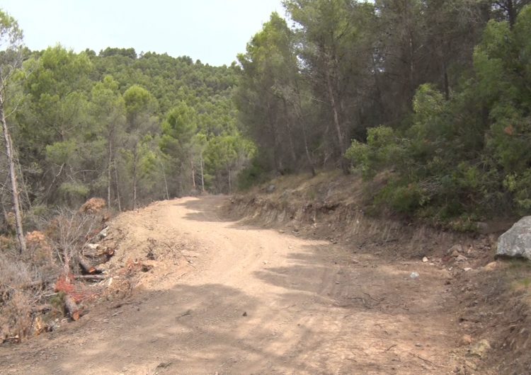 El Monestir de les Avellanes posa en marxa un pla de gestió forestal als seus boscos de propietat privada pel risc d’incendi