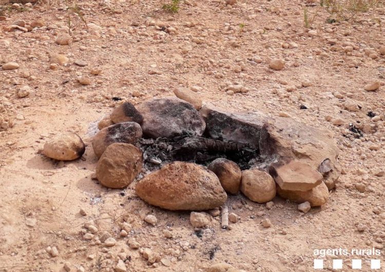 Denuncien diverses persones a la Noguera per fer focs d’esbarjo en terrenys forestals