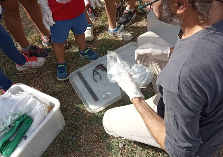 Una trentena de participants descobreixen els petits mamífers de l’espai natural de la Serra Llarga, Secans de la Noguera