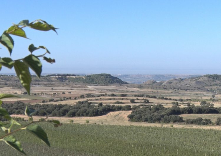 Algerri engega un projecte per posar en valor i donar a conèixer l’espai natural de la Serra Llarga-Secans de la Noguera