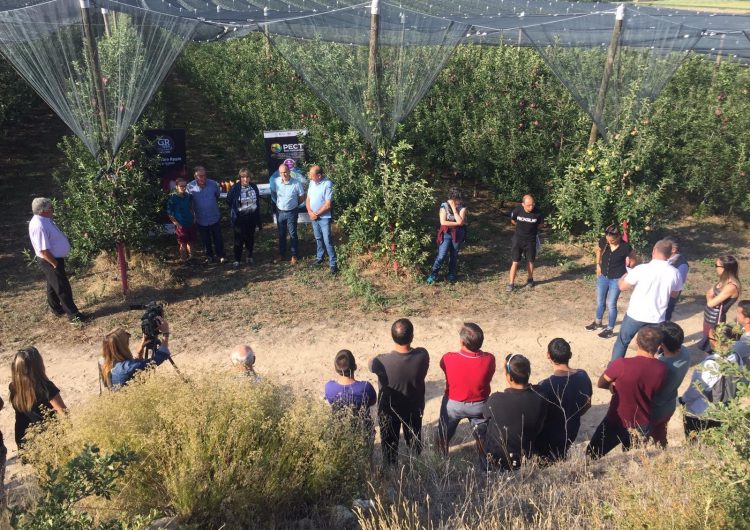 Presentació de la poma de muntanya de la Vall del Llobregós