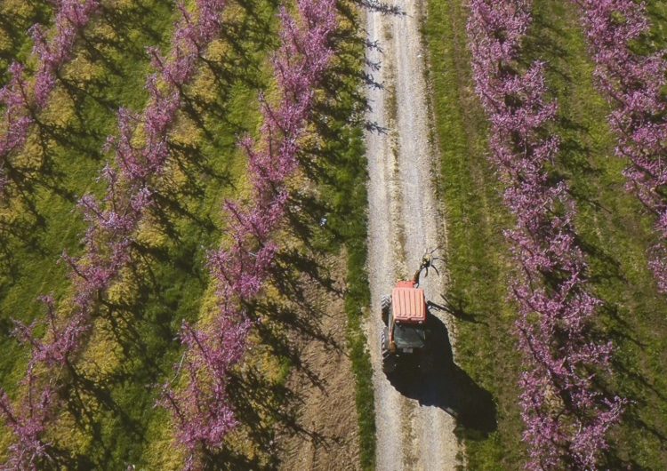 Sara Boldú exposa ‘Els artistes van amb tractor’ a l’Ermita de Sant Antoni d’Os de Balaguer