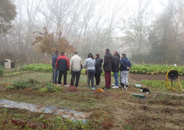 Finalitzen el tallers del programa “Col·labora” per a famílies usuàries dels Serveis Socials del Consell Comarcal de la Noguera