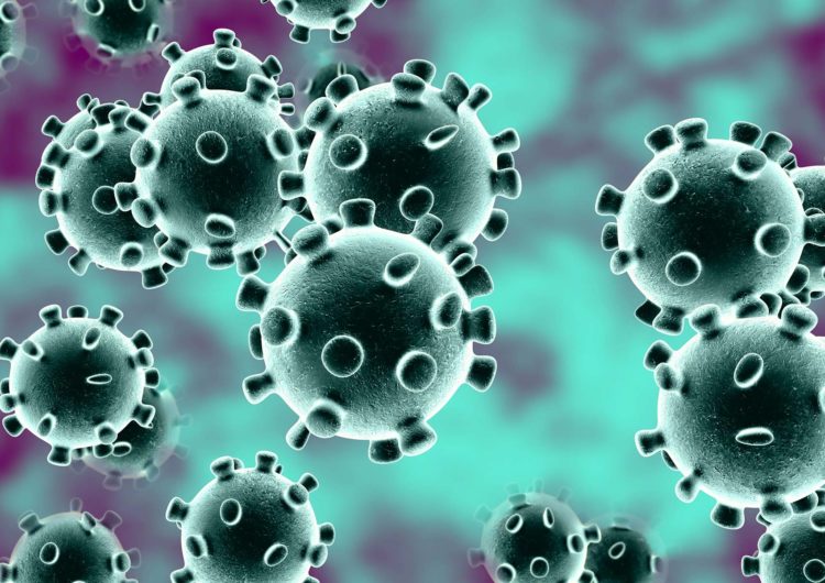 Dos positius nous eleven a 36 els casos de coronavirus a la demarcació de Lleida