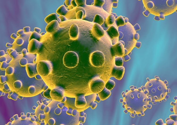 Una dona d’avançada edat és el primer positiu en coronavirus a Lleida