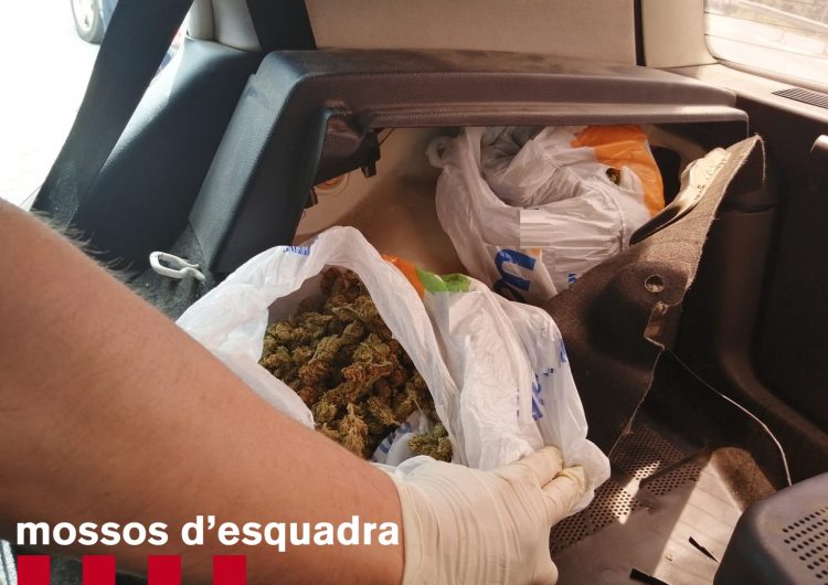 Els Mossos detenen a l’Alta Ribagorça un veí de Balaguer de 48 anys després de trobar-li gairebé 400 grams de marihuana