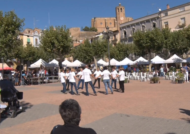 Balaguer prepara un reglament per crear un Registre d’Entitats