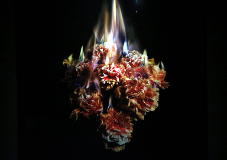 El museu de la Fundació Sorigué reobre l’1 de setembre amb l’exposició de l’artista Mat Collishaw ‘The End of Innocence’