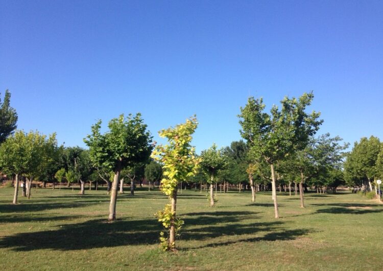 Identificades 18 persones en una festa il·legal al parc de la Serra de Mollerussa