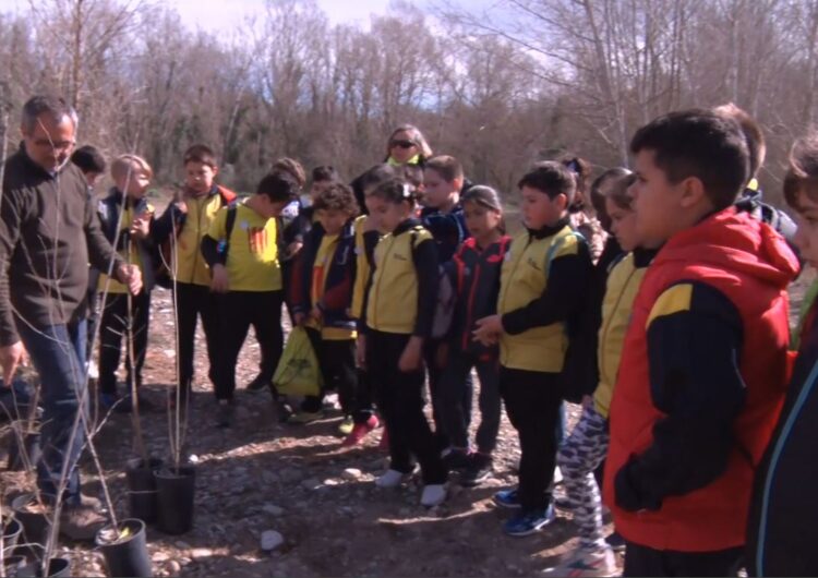 El Centre de Recursos Pedagògics adapta les activitats del Pla Municipal de Dinàmica Educativa