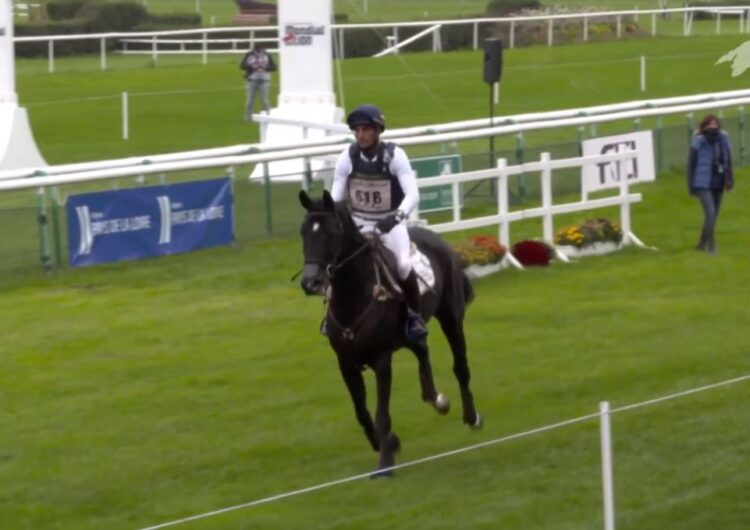 Albert Hermoso i Keen about Wonderland Z obtenen la 24a posició al Campionat del Món de Cavalls Joves