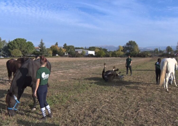 L’Escola Agrària de Vallfogona de Balaguer incorpora instal·lacions per a cavalls