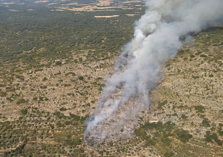 Els Bombers treballen en un incendi de vegetació al terme municipal de les Avellanes i Santa Linya