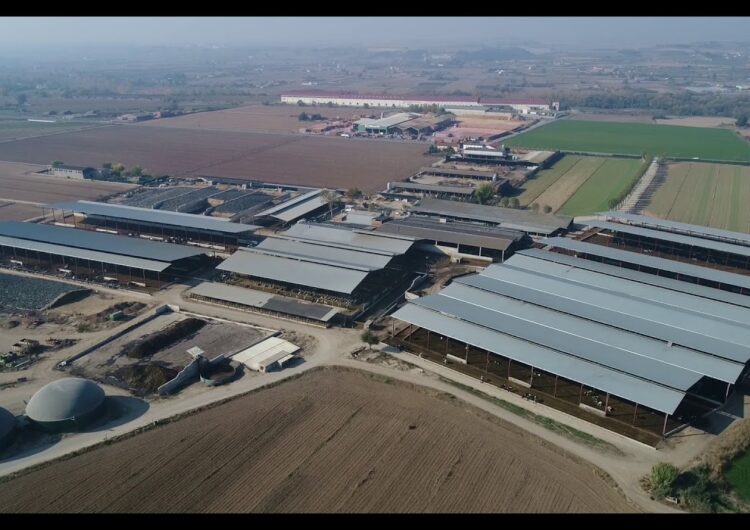 Torre Santamaria, la primera granja de llet de vaca d’Espanya que utilitza tots els seus residus per generar energies renovables