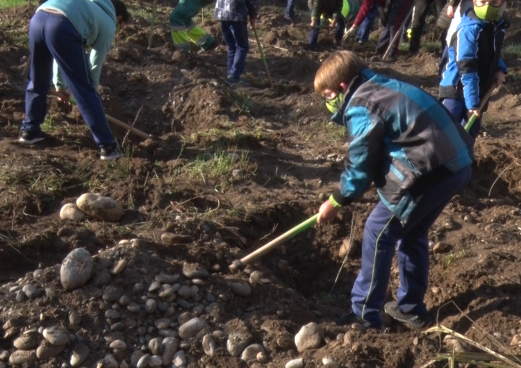 Les escoles balaguerines realitzen la tradicional plantada d’arbres al Parc de les Franqueses