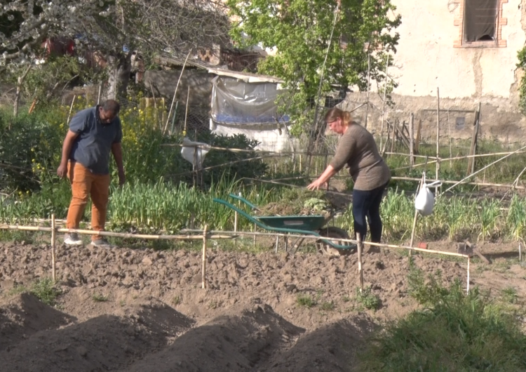 En marxa la 11a temporada del Cultiva’t – Horts Comunitaris a Balaguer