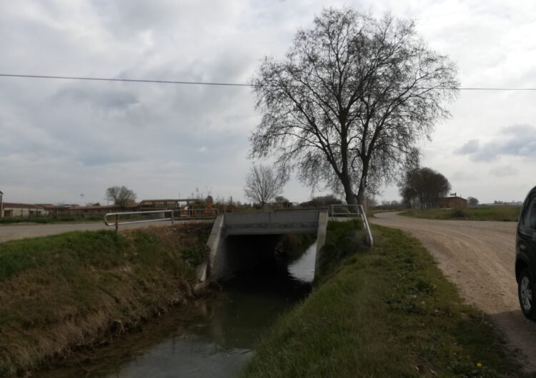 La Diputació plantarà 100 arbres a la 2a sèquia del canal d’Urgell al seu pas per Vallfogona de Balaguer