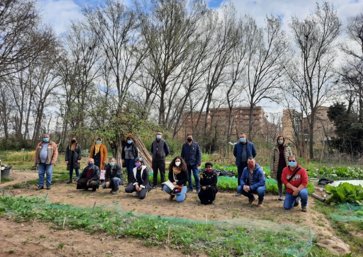 Torna el projecte dels Horts Comunitaris