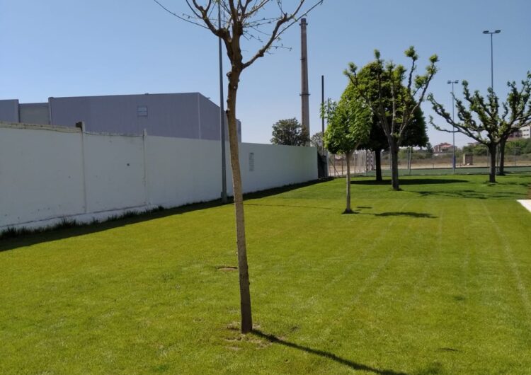 Balaguer replanta arbres en diferents carrers de la ciutat i projecta nous espais verds