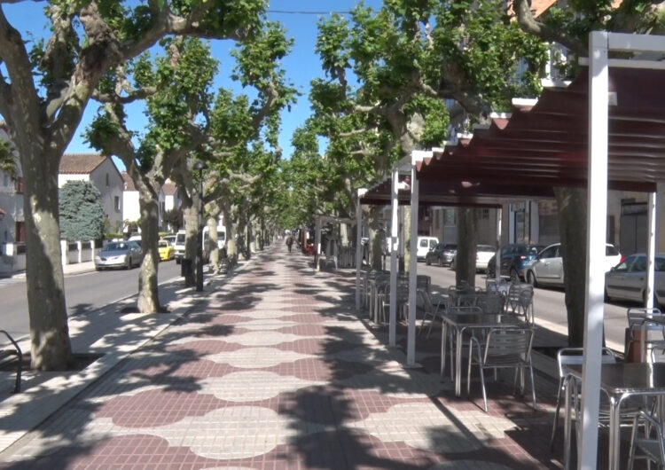 La Paeria de Balaguer planta nous arbres a la ciutat