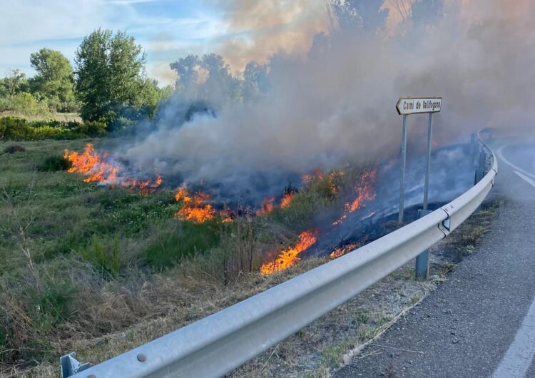 Incendi de vegetació a la zona de la variant de Balaguer