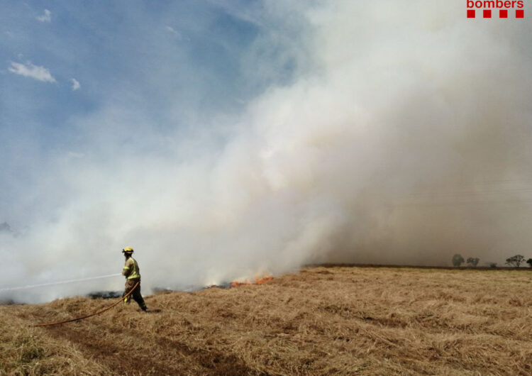 Primer incendi de cereal de la temporada