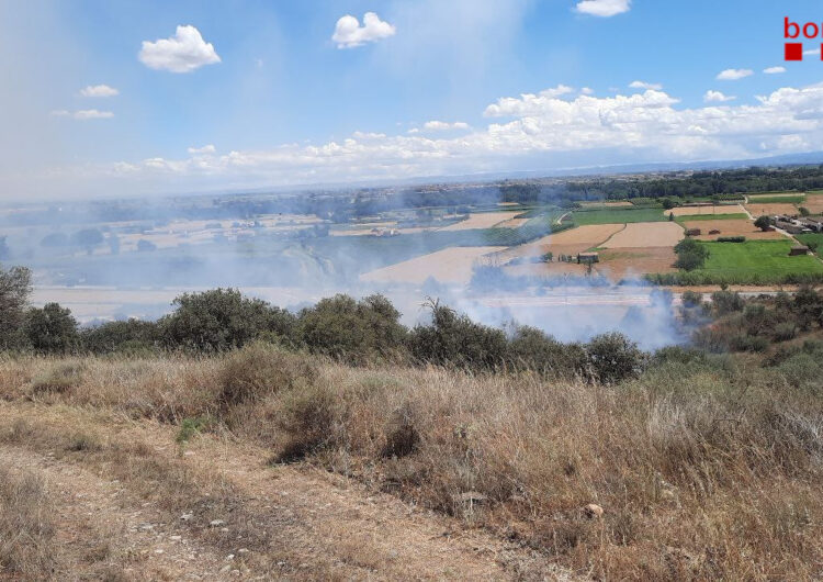 Els bombers de la Generalitat treballen en l’extinció d’un incendi a Menàrguens