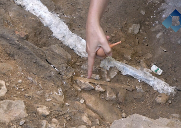 Troben les restes d’una homo sapiens de 14.000 anys d’antiguitat a la Cova Gran de Santa Linya