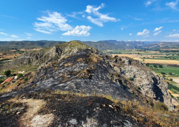 Controlat l’incendi forestal a la penya de l’Espígol de Gerb