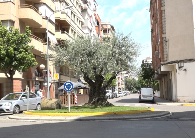 La Paeria de Balaguer aprova en ple les obres d’arranjament del carrer Barcelona