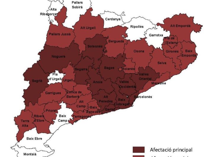 Protecció Civil demana extremar les precaucions davant la previsió de temperatures extremes a partir de demà