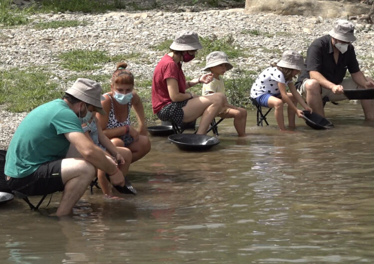 La febre de l’or s’allargarà fins al setembre a Balaguer