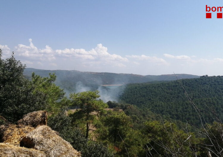 Els Bombers estabilitzen en un incendi de vegetació forestal a la Baronia de Rialb