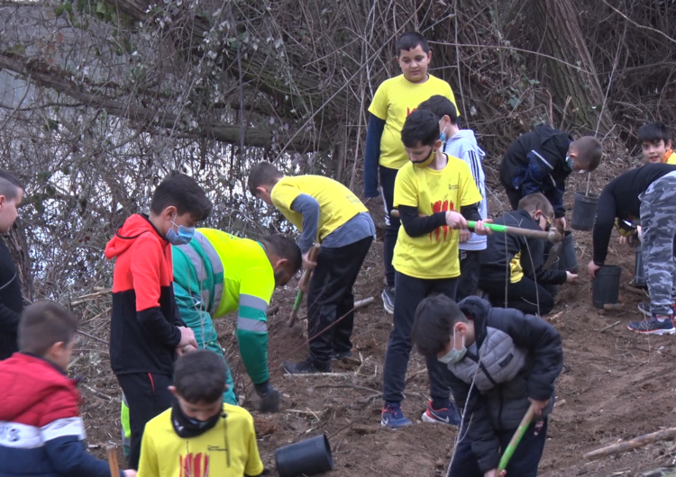 Els escolars comencen amb la plantada d’arbres a les Franqueses