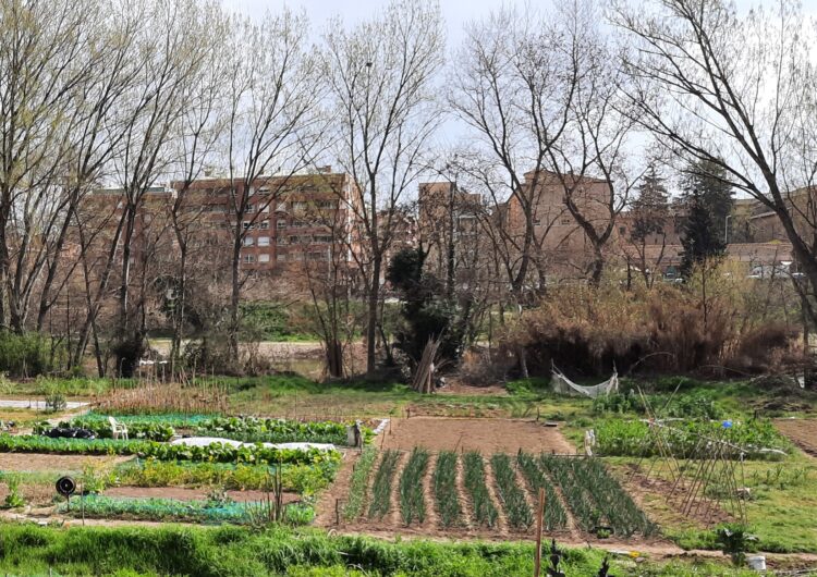 Oberta la temporada del projecte Cultiva’t Horts Comunitaris a Balaguer