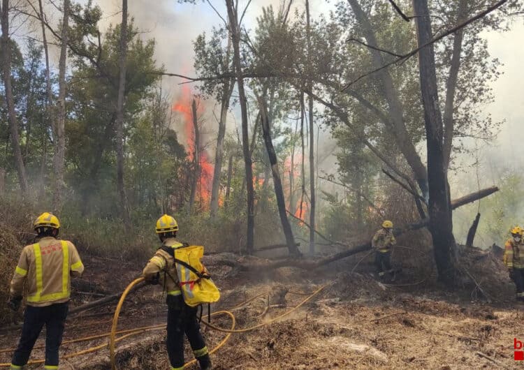 Incendi de vegetació a Torrelameu a prop del riu Noguera Ribagorçana