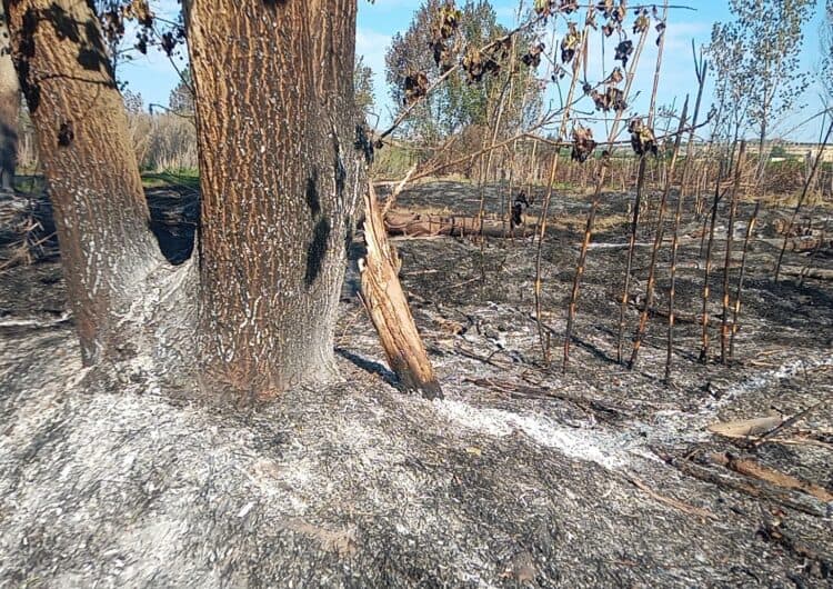 El Departament d’Acció Climàtica alerta de l’elevat perill d’incendi forestal des d’avui fins dilluns